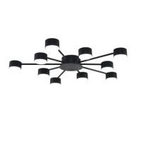 Потолочная люстра Lumion Comfi Torina 8344/10C