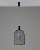 Подвесной светильник Moderli Ophelia V11875-PL