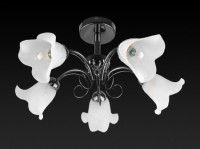 Потолочная люстра Toplight Magdalene TL3490X-05BC