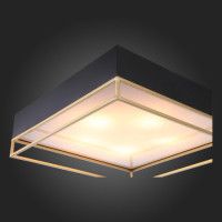 Накладная люстра ST-Luce SL1127.422.05