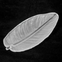 Потолочная люстра Lussole Hesperia LSP-8839