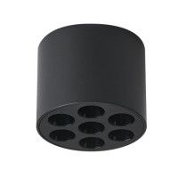 Потолочный светильник Lightstar Guarda 080647