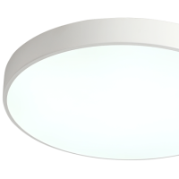 Потолочный светильник Zortes Tortty ZRS.02564.96