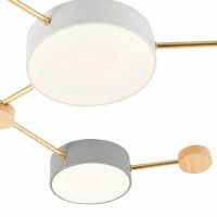 Потолочный светильник Evoluce Dossena SLE600102-06