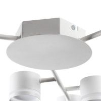 Потолочная люстра Lumion Gareta 8235/9C