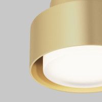 Потолочный светильник Maytoni Space C092CL-GX53-MG