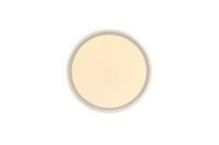 Потолочный светильник Zortes Bella ZRS.1200.07