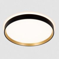 Потолочный светильник Citilux Etalon CL750321R