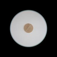 Потолочный светильник Loft IT AXEL 10003/24 Green