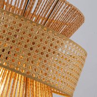 Подвесной светильник Favourite Organicum 4770-1P