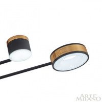 Потолочная люстра Arte Milano 272040/8 BK/GD