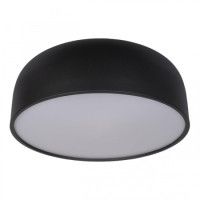 Потолочный светильник Loft IT Axel 10201/480 Black