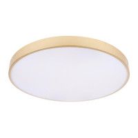 Потолочный светильник Loft IT Flims 10228/B