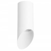 Потолочный светильник Lightstar RULLO R43636 (214436+201436)