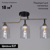 Потолочная люстра Reluce 02312-0.3-03 AB+BK