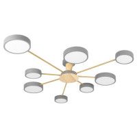 Потолочная люстра Loft IT Sunrise 10316/8 Grey