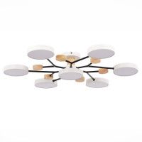 Люстра на штанге Evoluce Faema SLE6006-502-07