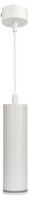 Подвесной светильник Эра PL19 WH Б0058491
