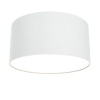 Потолочный светильник Maytoni Zon C032CL-12W3K-RD-W