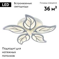 Потолочная светодиодная люстра Escada 10214/5LED