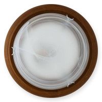 Настенный светильник Toplight Irma TL9073Y-02OA