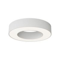 Потолочный светильник Maytoni Technical Lua C093CL-24W4K-W