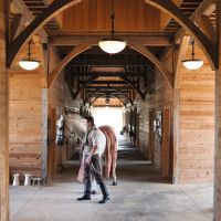 Подвесной светильник Hinkley Mayflower HK-MAYFLOWER-P-C