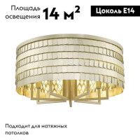 Потолочная люстра Simple Story 1093-7CL