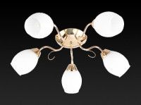 Потолочная люстра Toplight Kristin TL3520X-05FG