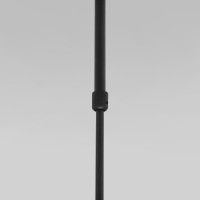 Подвесной светильник Eurosvet Pacific 50255/1 черный a063267