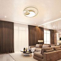 Потолочная люстра Natali Kovaltseva LED LAMPS 81305