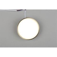 Потолочный светильник Aployt Evon APL.0114.29.12