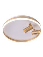 Потолочный светильник Zortes Raizy ZRS.1888.02