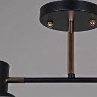 Потолочный светильник Reluce 06074-3.3-02 BK+FG