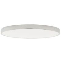 Потолочный светильник Zortes Tortty ZRS.02565.120