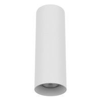 Потолочный светильник Lightstar Rullo 216496