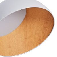 Потолочный светильник Zortes Baum ZRS.01201.20