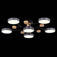 Люстра на штанге Evoluce Faema SLE6006-702-06