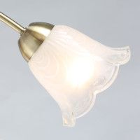 Потолочная люстра De Markt Флора 670011005