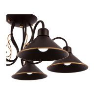 Потолочный светильник EVOLUCE CIOLLA SLE120402-05