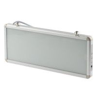Аварийный светильник Эра SSA-101-0-20 Б0044387