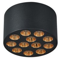 Потолочный светильник Lightstar Guarda 080942