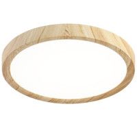 Потолочный светильник Citilux Бейсик CL738182V