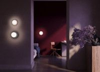 Настенный светильник Maytoni Careless MOD403WL-01GR