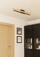 Потолочный светильник Eglo Camacho 901736