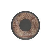 Настенный светильник Favourite Tallar 4445-1W