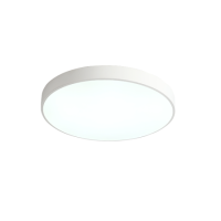 Потолочный светильник Zortes Tortty ZRS.02564.72