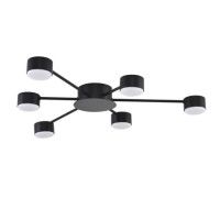 Потолочная люстра Lumion Comfi Torina 8344/6C