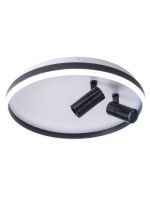 Потолочный светильник Zortes Raizy ZRS.1888.01