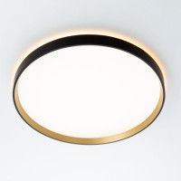 Потолочный светильник Citilux Etalon CL750401R